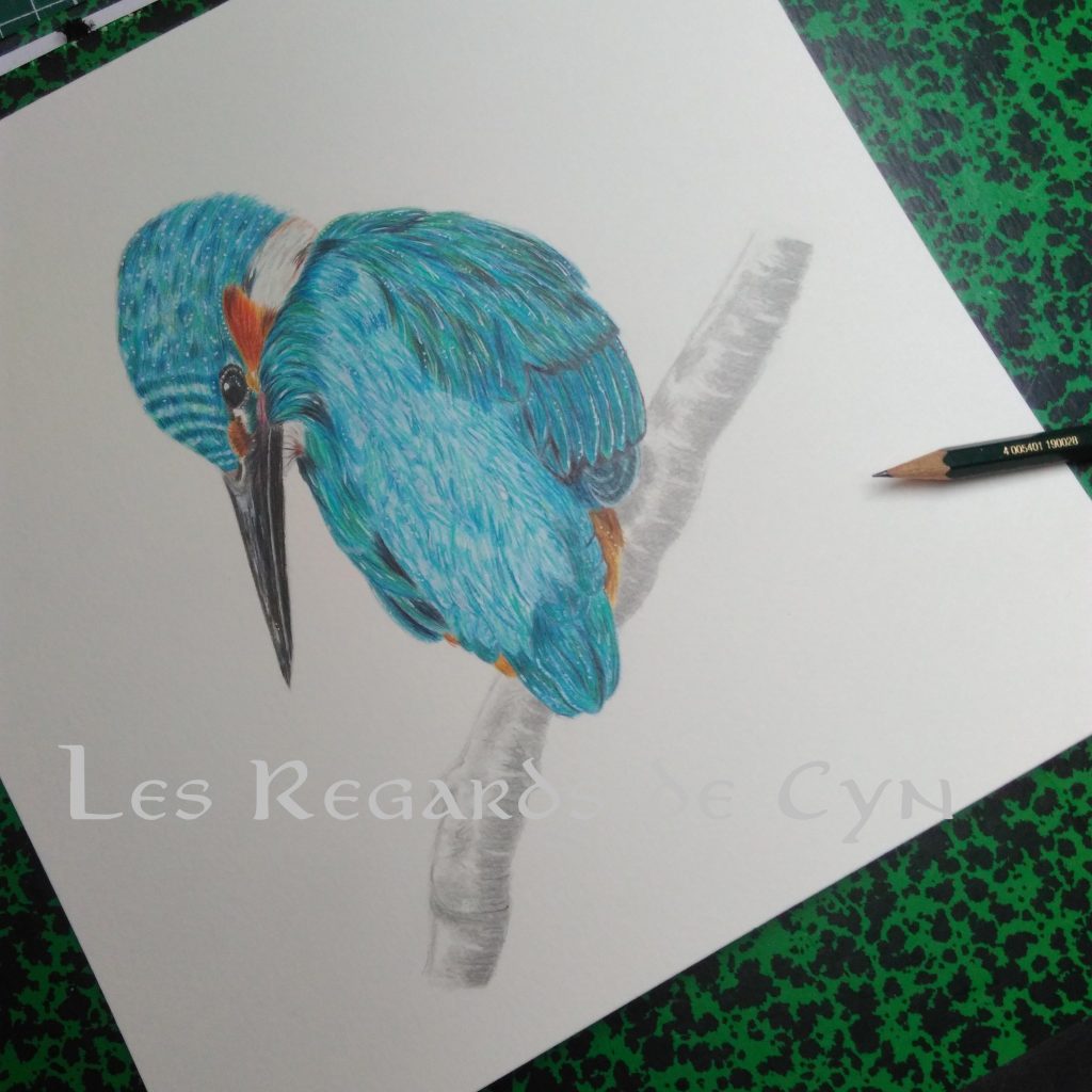 illustration martin-pêcheur