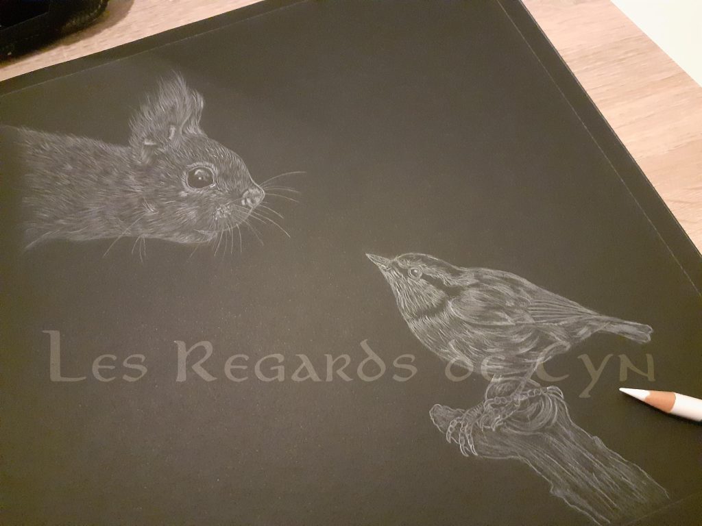illustration écureuil et Sittelle torchepot