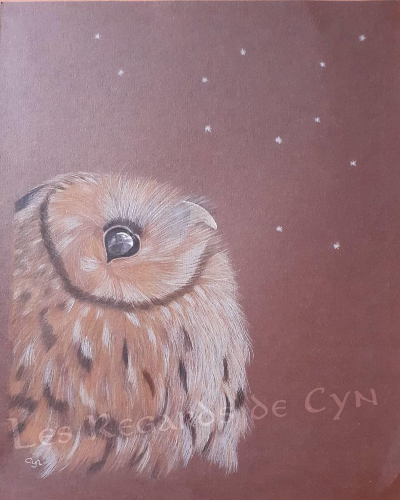 Illustration chouette hulotte