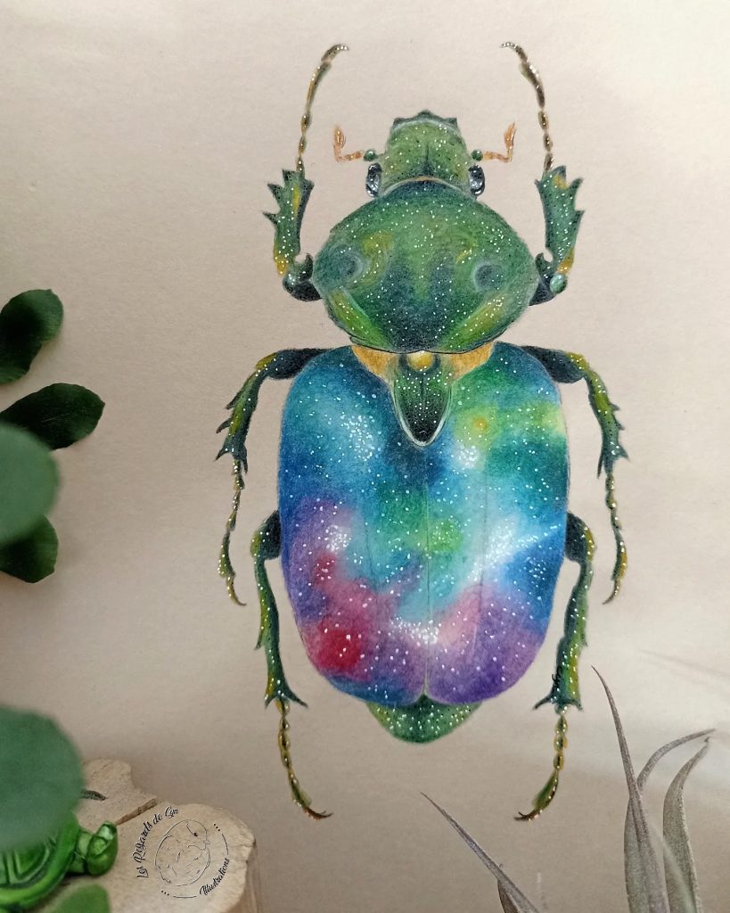 Illustration scarabée coloré