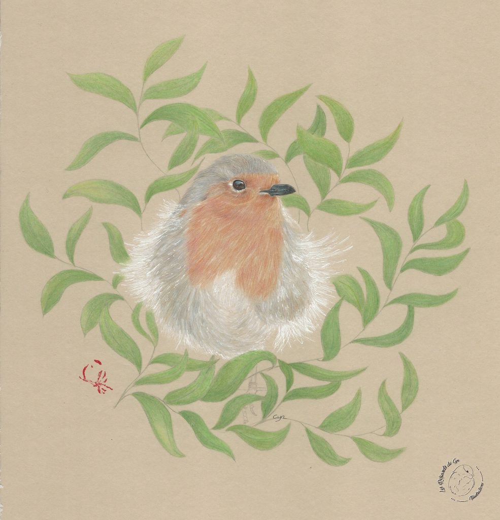 Illustration Rouge-gorge