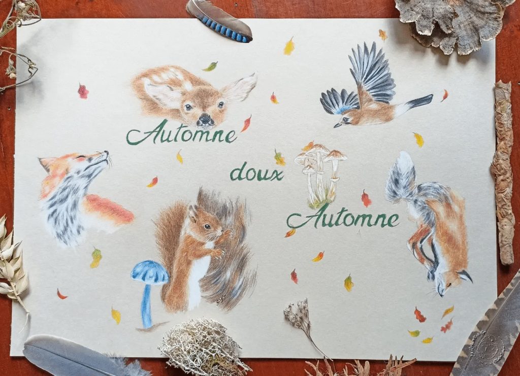 illustration animaux de la forêt
