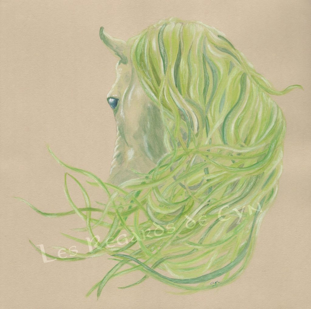 illustration Kelpy animal mythologique