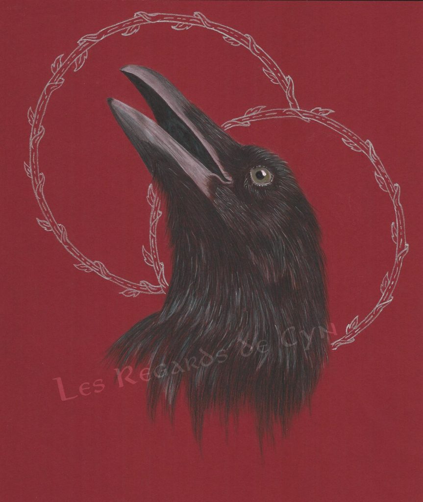 illustration Corbeau