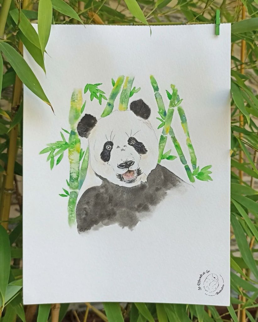 Illustration Panda