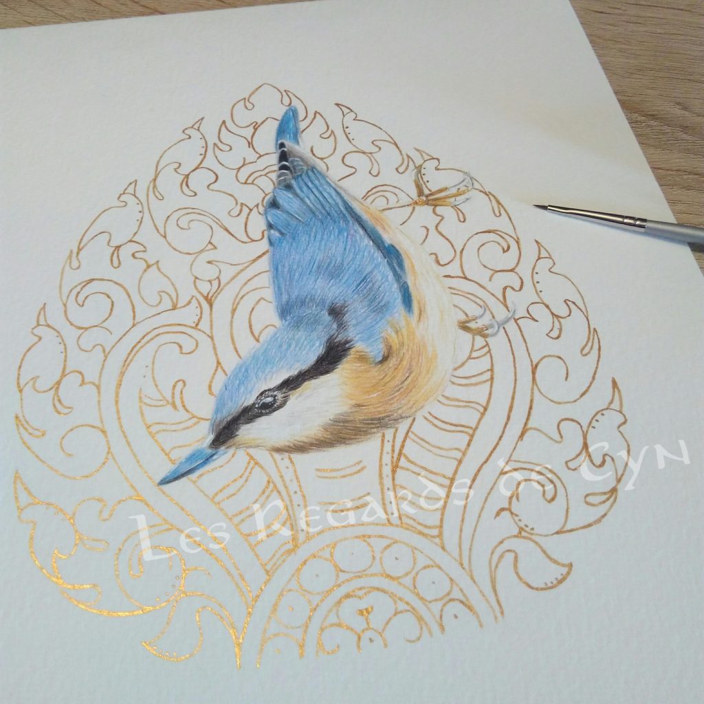 illustration Sittelle Torchepot
