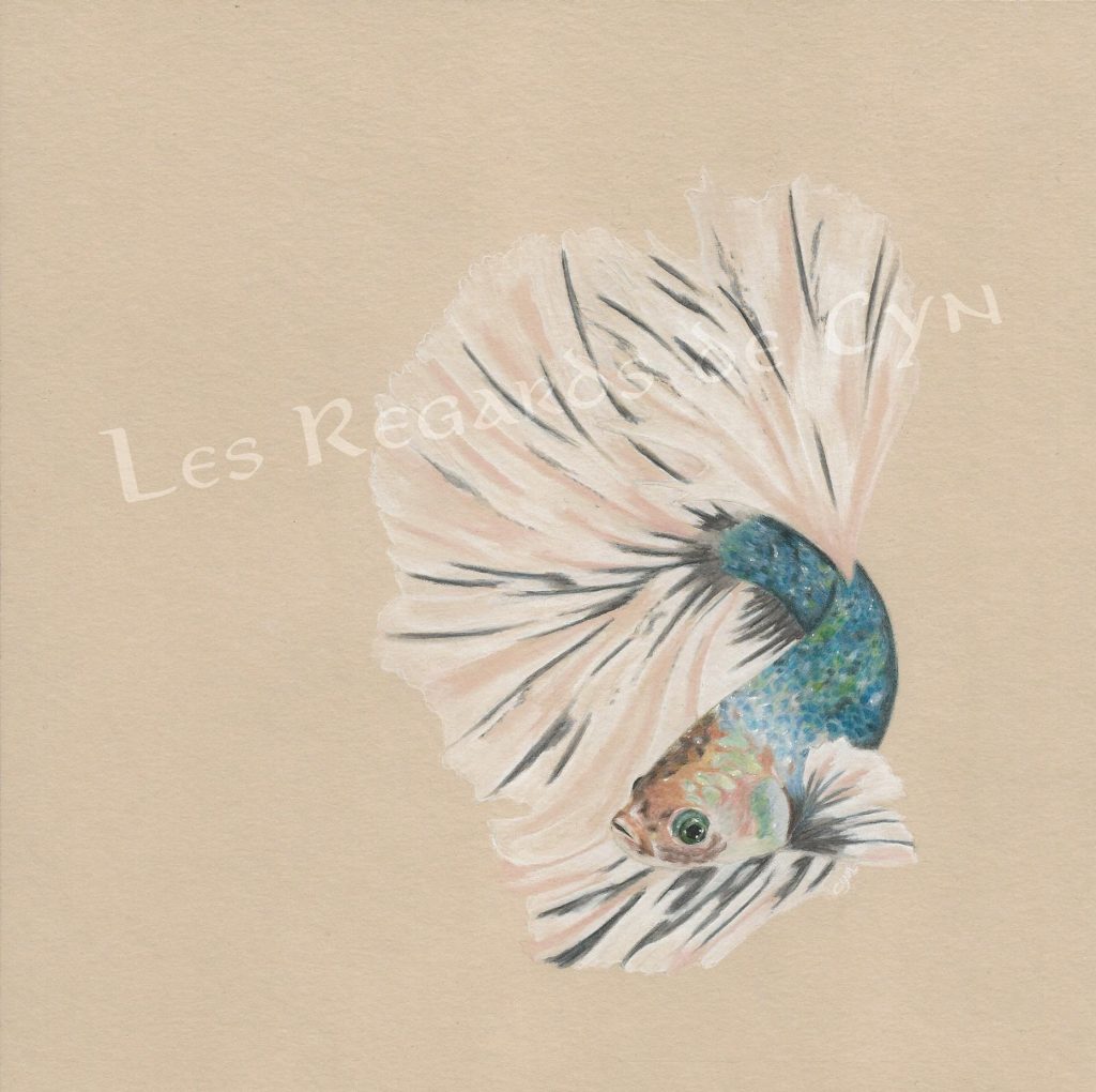 illustration Poisson combattant