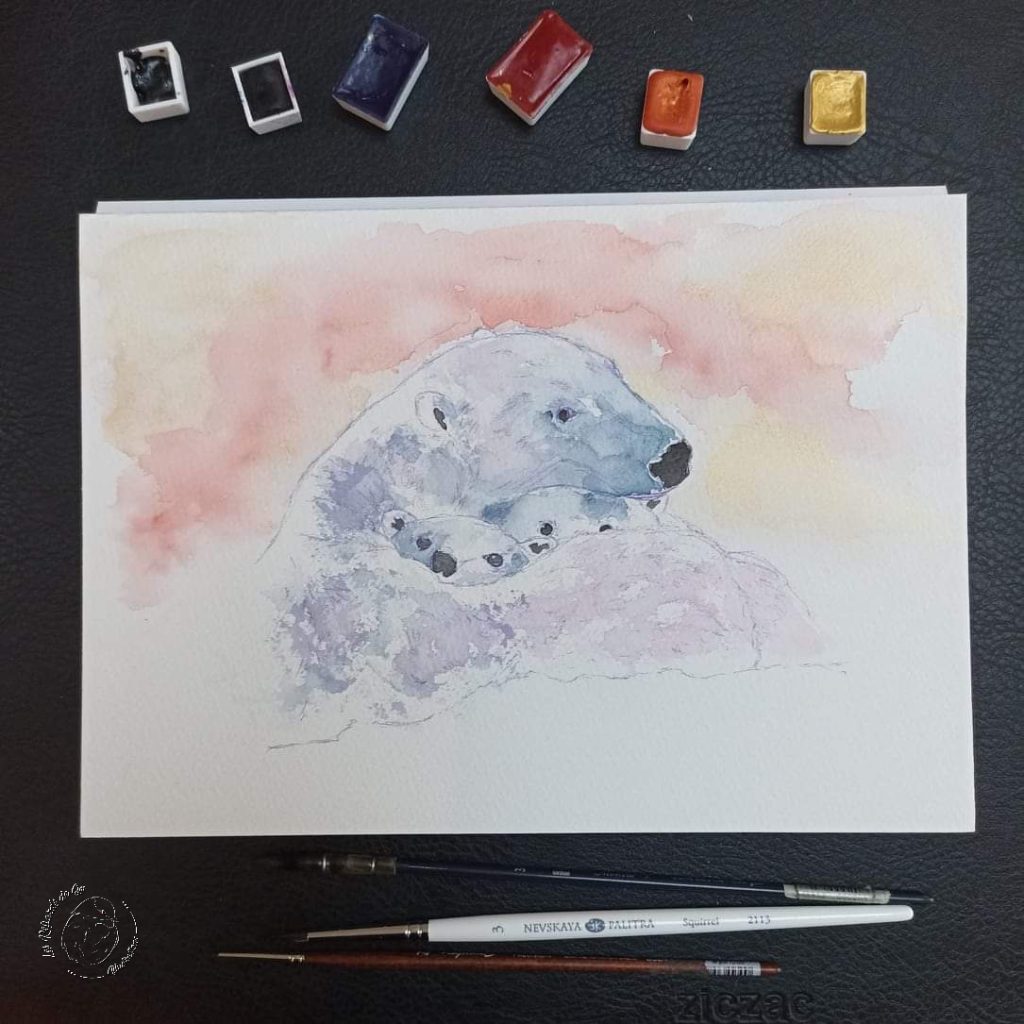 illustration ours polaires